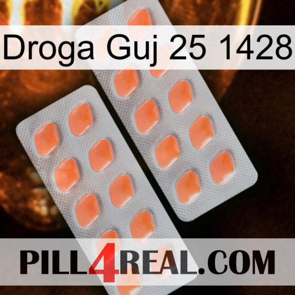 Guj Drug 25 1428 27.jpg